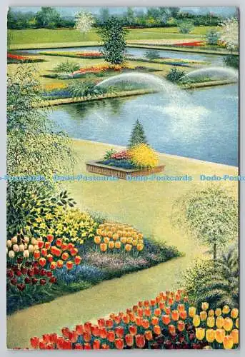 D321170 Spalding. Springfields. A. W. van Driel. Frühlingsfarbpublikation. Spri