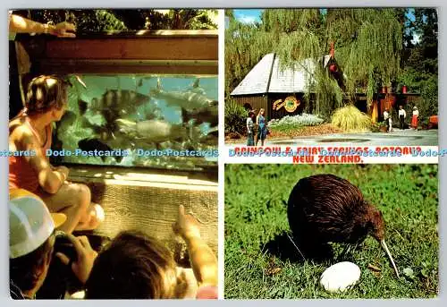 D316751 Regenbogen- und Feenfedern. Rotorua. Neuseeland. Colourview Productions L