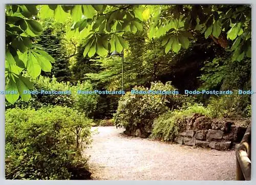 D316768 Photo Park. Postkarte