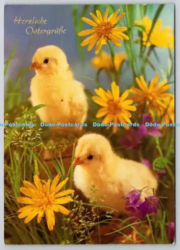 D321226 Herzliche Ostergrusse. Kleine Hühner. Westdeutschland. Serie 822. PM. Nur