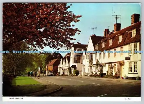 D316832 Winchelsea. Richter. Hastings. England