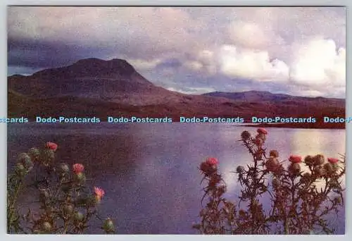 D316873 Scotland s Glory. Loch Bad. W. S. Thomson. G. and G. Ponton Ltd. Glasgow