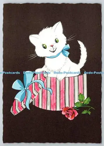D321329 Katze in Box und Rose. Krüger. Westdeutschland. Postkarte