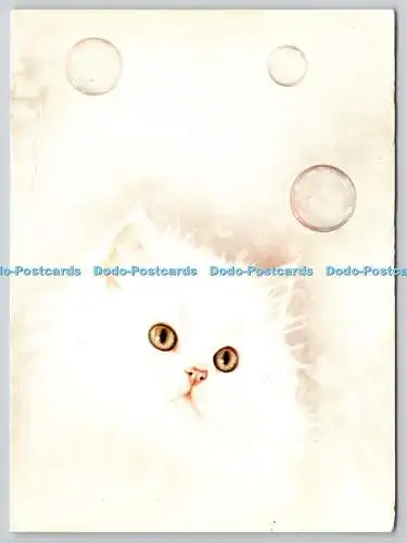 D321359 Katze verschneit und Blasen. Paul Hogg. Michael Woodward. Athena International