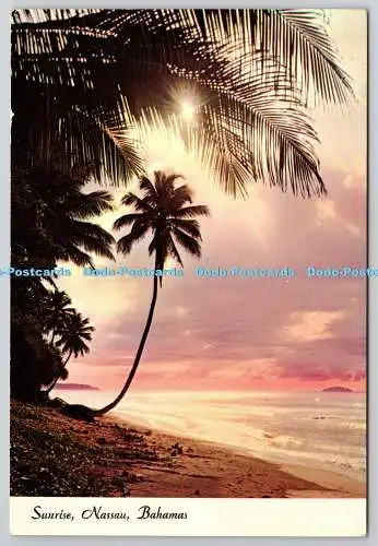 D321586 Die Bahama-Inseln. Nassau. Sonnenaufgang über der wunderschönen Karibik. Calyps