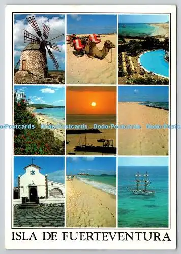 D321591 Islas Canarias. Fuerteventura. Brito und Manzano Souvenirs. S.L. Postca