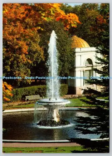 D321646 Russland. St. Petersburg. Peterhof. Lower Park. Toller oder Schalenbrunnen. Ar