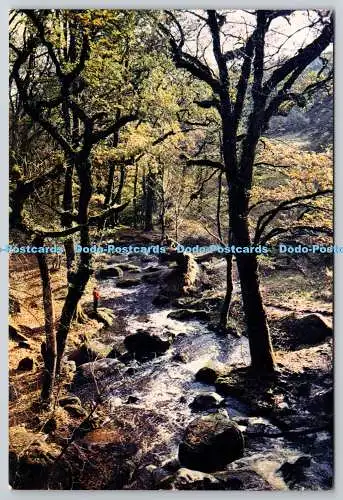 D321674 Becky Falls in der Nähe von Manaton. H. L. Baker. J. Arthur Dixon. Newport. Farbe