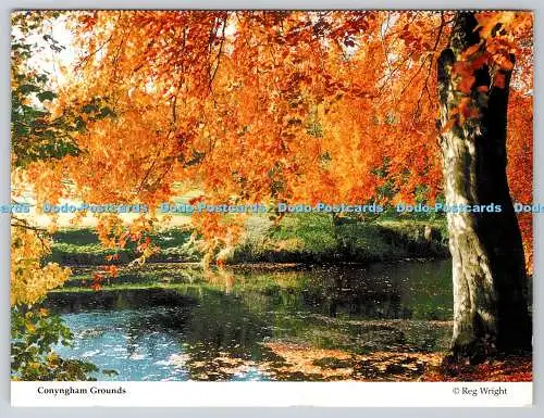 D321751 Conyngham Grounds. Reg Wright. Age Concern Knaresborough. Powell Print.
