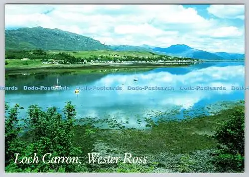 D321796 Wester Ross. Loch Carron. George Dey. Whiteholme. Dundee. Hagel Caledonia