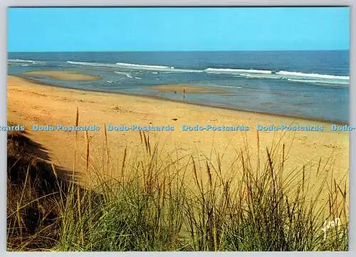 D321828 Frankreich. Dans Les Dunes. D Art YVON. Paris. S.P.A.D.E.M. Made in Spa