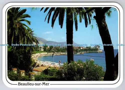 D321829 Reflets de la Cote d Azur. Beaulieu sur Mer. La Baie des Fourmis. La Cig