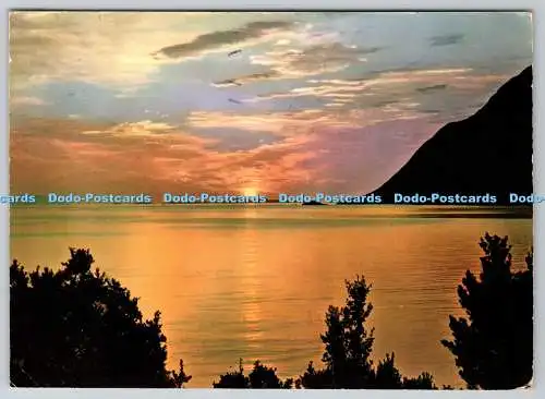 D321853 Norwegen. Mitternachtssonne in Nupen. Knut Anne Kunstverlag AS. Ultra. PM. Trom