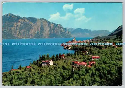 D321915 Malcesine. Lago di Garda. Gesamtansicht. De Mitri. Arco di Trento. Fotoco