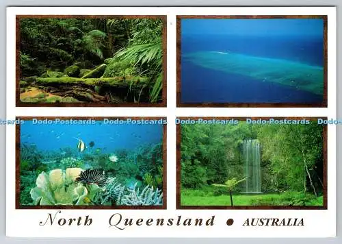 D321928 Australien. North Queensland. Great Barrier Reef. Regenwald. Murray View