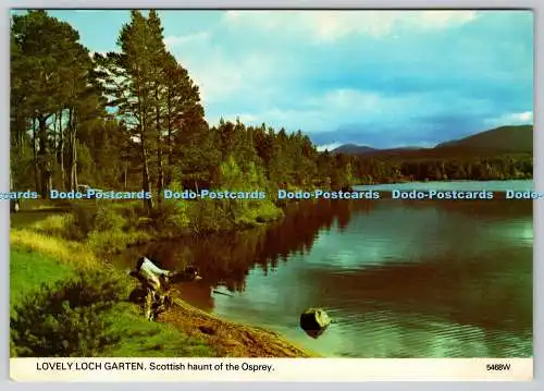 D321974 Schöner Lochgarten. Schottischer Treffpunkt Fischadler. Whiteholme. Dundee. Hagel C