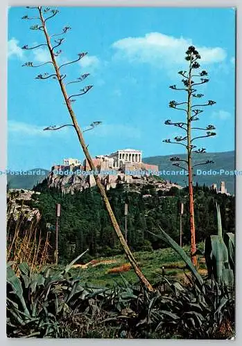 D321981 Griechenland. Athen. Blick auf die Akropolis. Postkarte