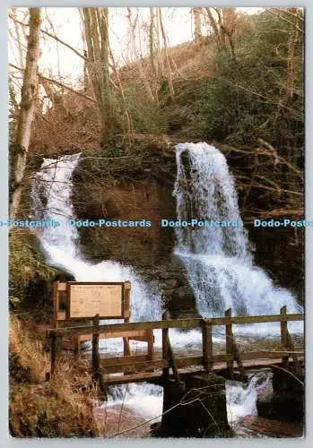 D321998 Pwlly Wrach Nature Reserve. Fluss Ennig beim Sturz über Pwlly Wrach