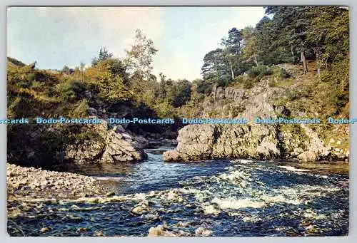 D324002 Randolphs Sprung. Fluss Findhorn. Muräne. J. Arthur Dixon Ltd. Inverness.