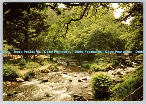 D324005 Watersmeet. Devon. The National Trust. J. Arthur Dixon. Inverness. 1984