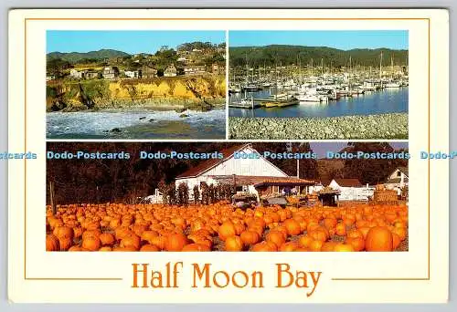 D324104 Half Moon Bay. Kalifornien. Ken Glaser Jr. Robert Janover. Smith Neuheit