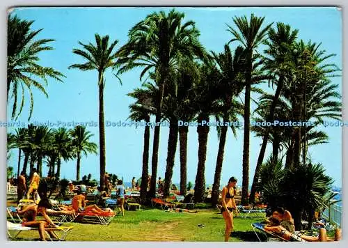 D324106 LA ZENIA Hotel. Alicante. Gärten. Kommerzielle VIPA. Lebenslauf