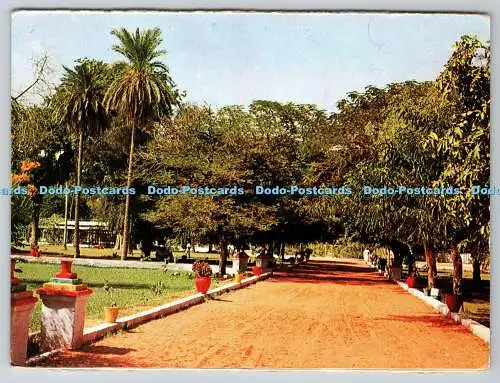 D324110 Eingang des Zoos Khartum. Sudan Tourist Dept