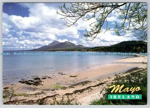 D324111 Mayo Irland. Peter O Toole. John Hinde Ltd. Irland. 1994