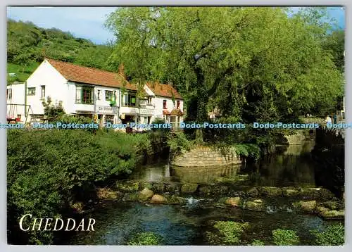 D324138 Cheddar. Somerset. John Hinde. Redruth. Cornwall