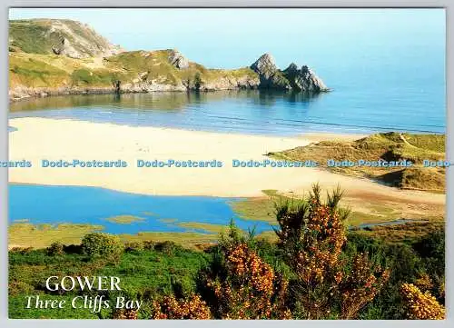 D324185 Gower. Three Cliffs Bay. J. Salmon Ltd. Sevenoaks. Kent