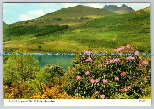 D324214 Loch Long und The Cobbler Arrochar. Heil Caledonia. Whiteholme Ltd. Dund