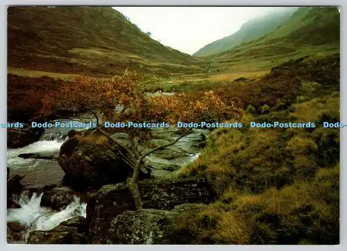 D324268 entlang der Bergstraße von Tregaron. Derek Harris. Kapitel und Strophe. Imag