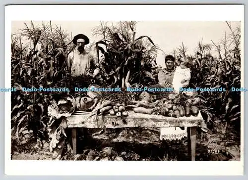 D324280 Menomonee River Boom Co. Garden. Marinette. Vic. W. A. Henry. Zustandshist