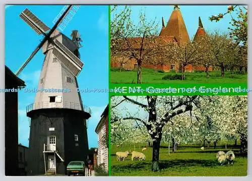 D324356 Kent. Garden of England. Cranbrook. Kentish Oasts. Obstgarten. J. Salmon Lt