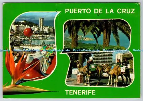 D324380 Teneriffa. Puerto de la Cruz. Ferienzentrum. Euroafricana de Canarias. S