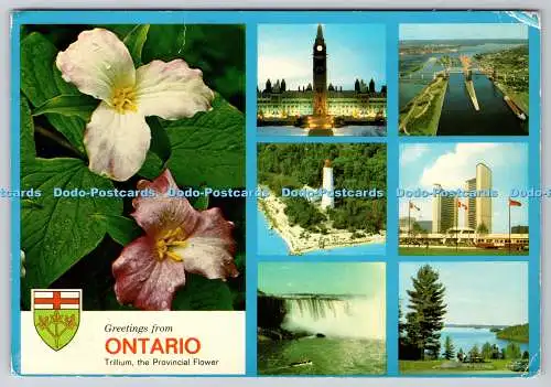 D324389 Ontario. Trillium die Provinzblume. Kanadas Provinz der Kontraste.