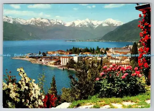 D324436 Bellano. Comer See. Brunner und Co. PM Cadenabbia