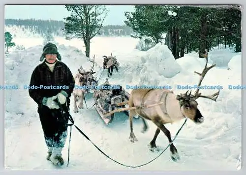 D324849 Norwegen. Vedkjöring med rein. Giovanni Trimboli. Grako Kortforlag AS. Osl