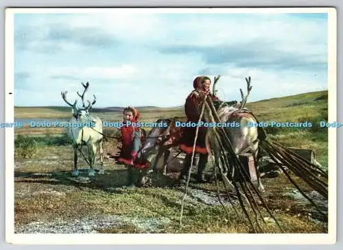 D324851 Norwegen. Gleiches Medium. Die Lapps oder Lapplanders. Sprache Finno Urgisch o