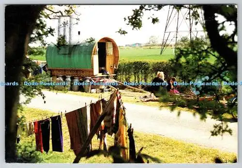 D325078 Blick aus dem Wald. Roma-Zigeuner-Fotosammlung. Barrie Law A.R