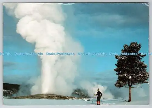 D325082 Yellowstone Nationalpark. Skifahrer am Old Faithful Geyser. Hamilton Stores