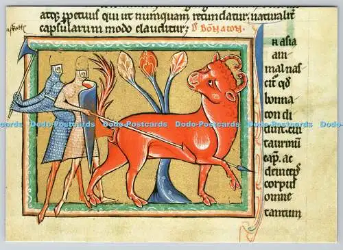 D325097 Oxford. Bodleian Library. Der Bonnacon ist ein Tier mit ungewöhnlicher Abwehr