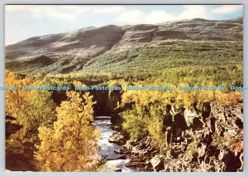 D325132 Abiskojokk med Canyon. Nuolja i bakgrund. Sven Hornell. Riksgransen. S