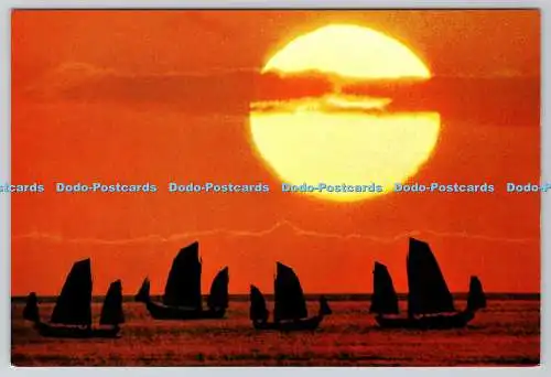 D325136 China. Hongkong segelt gegen den Sonnenuntergang. V108. Postkarte