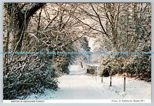 D325145 Winter in Ashdown Forest. D. Parkhurst. Nutley W.I. East Sussex Federat