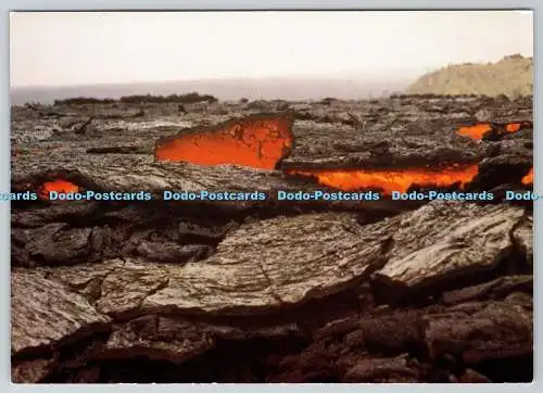 D325188 Hawaii. Kilauea. Mauna Ulu. Vulkane. Lavaseeoberfläche. 1973. J. E. Gu