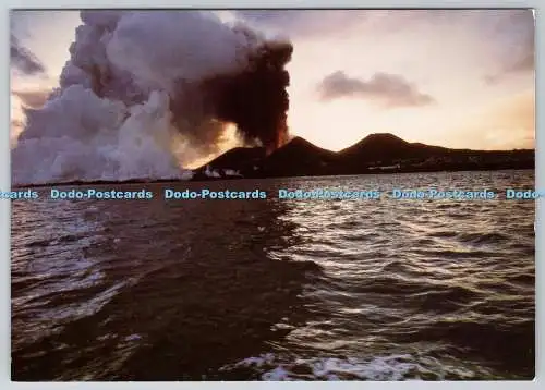 D325189 Island. Vestmannaeyjar Stadt. 1973 teilweise durch Asche und Lava begraben. NER