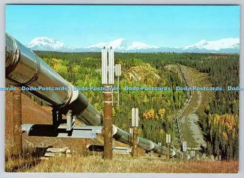 D325202 in der Nähe von Squirrel Creek. Wrangell Mountains im Hintergrund. Trans Alaska