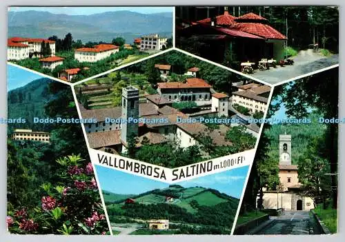 D325225 Vallombrosa Saltino. Fotorapidacolor. Terni. Fotocolor Kodak Ektachrome.