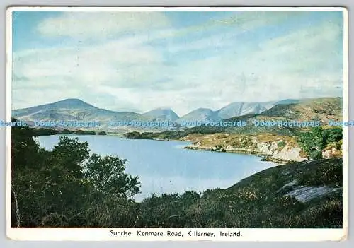 D325235 Irland. Killarney. Kenmare Road. Sonnenaufgang. Irish Printers. P.C. Farbe C
